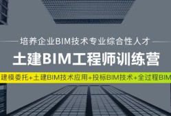 bim工程師需要會(huì)的軟件,bim專業(yè)工程師需要什么資歷