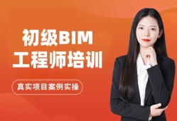 淺談bim技術(shù)的發(fā)展前景論文bim工程師前景演講稿