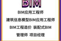 bim高級(jí)項(xiàng)目管理工程師,bim高級(jí)項(xiàng)目管理師掛靠費(fèi)多少錢一年