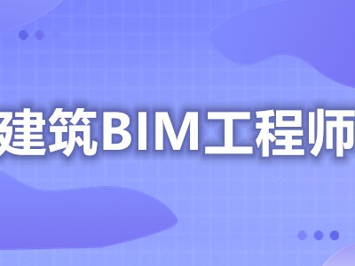 bim技術(shù)開發(fā)工程師bim技術(shù)開發(fā)工程師是干嘛的