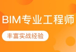 bim工程師的專業(yè)劃分,bim工程師的前景怎么樣