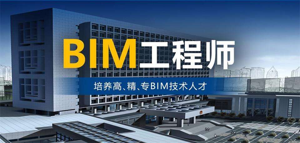 bim工程師專業(yè)技能培訓教材bim工程師高效直通班  第2張