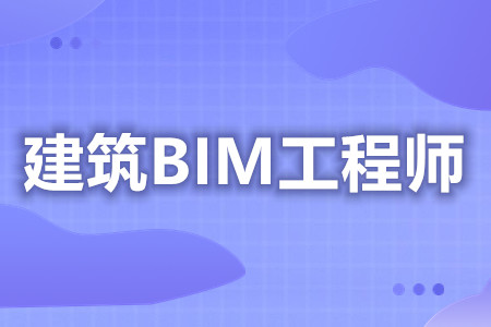 bim技術(shù)開發(fā)工程師bim技術(shù)開發(fā)工程師是干嘛的  第1張