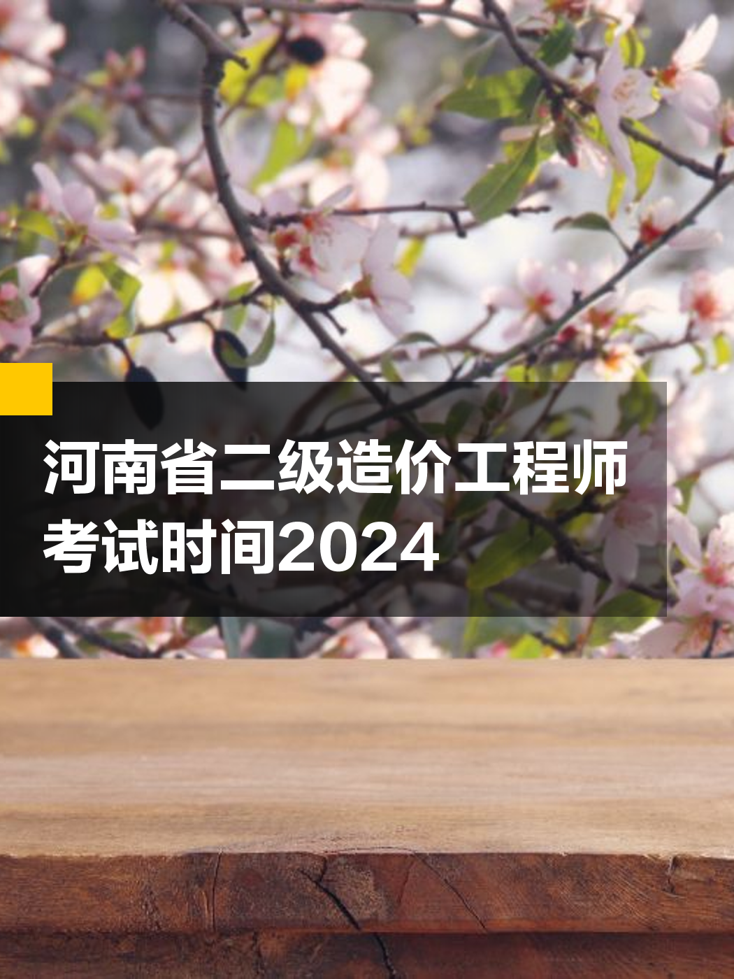 河南省造價工程師,河南省造價工程師協(xié)會張軍偉簡歷  第1張